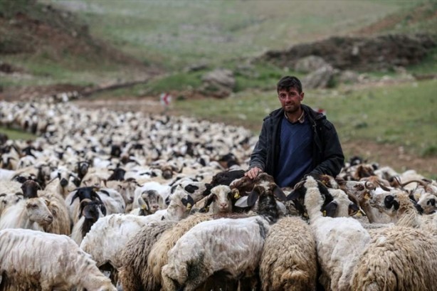 Foto - Senenin 5 ayını yaylada geçiriyorlar