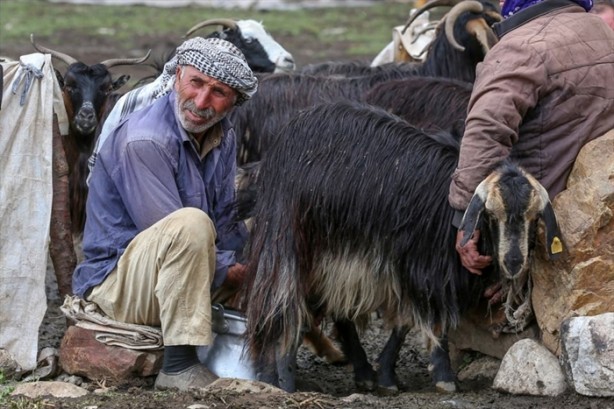 Foto - Senenin 5 ayını yaylada geçiriyorlar