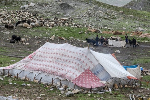 Foto - Senenin 5 ayını yaylada geçiriyorlar