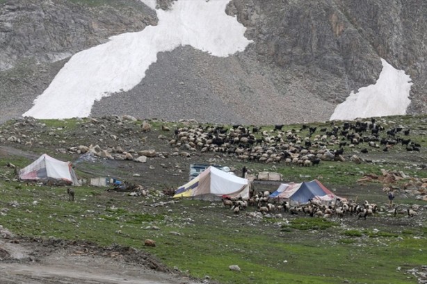 Foto - Senenin 5 ayını yaylada geçiriyorlar