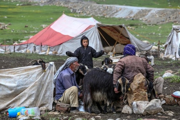 Foto - Senenin 5 ayını yaylada geçiriyorlar