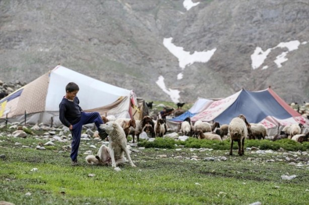 Foto - Senenin 5 ayını yaylada geçiriyorlar