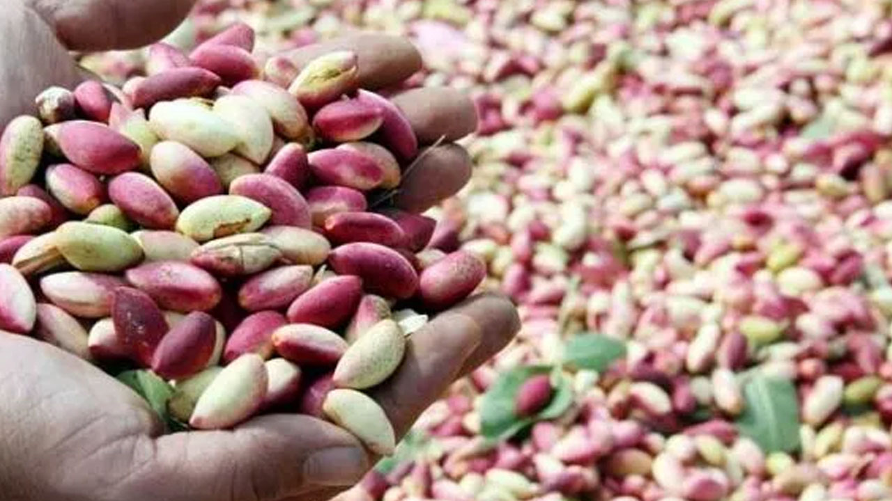 Foto - Şener Üşümezsoy üç ili uyardı: Depremi yirmi gün önceden bilmişti! Halk tedirgin