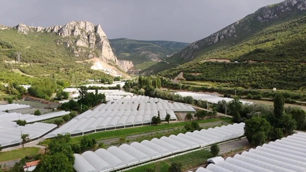 Foto - Seralara saldıran bulundu!