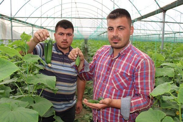 Foto - Seralara saldıran bulundu!