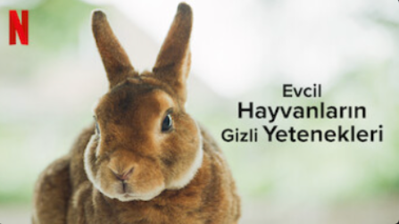 Foto - Sermayenin sanatçısı! Genco Erkal’a bir de buradan bakın