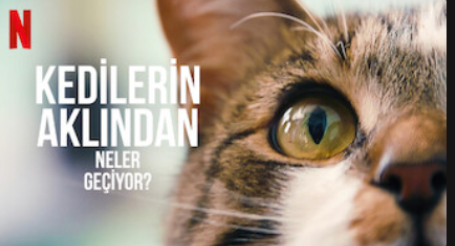 Foto - Sermayenin sanatçısı! Genco Erkal’a bir de buradan bakın