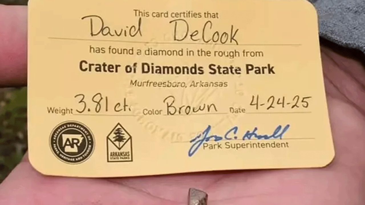 Foto - Servetin üzerinde yürüyorlar: Her yerden elmas fışkırıyor!