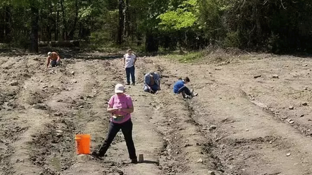 Foto - Servetin üzerinde yürüyorlar: Her yerden elmas fışkırıyor!