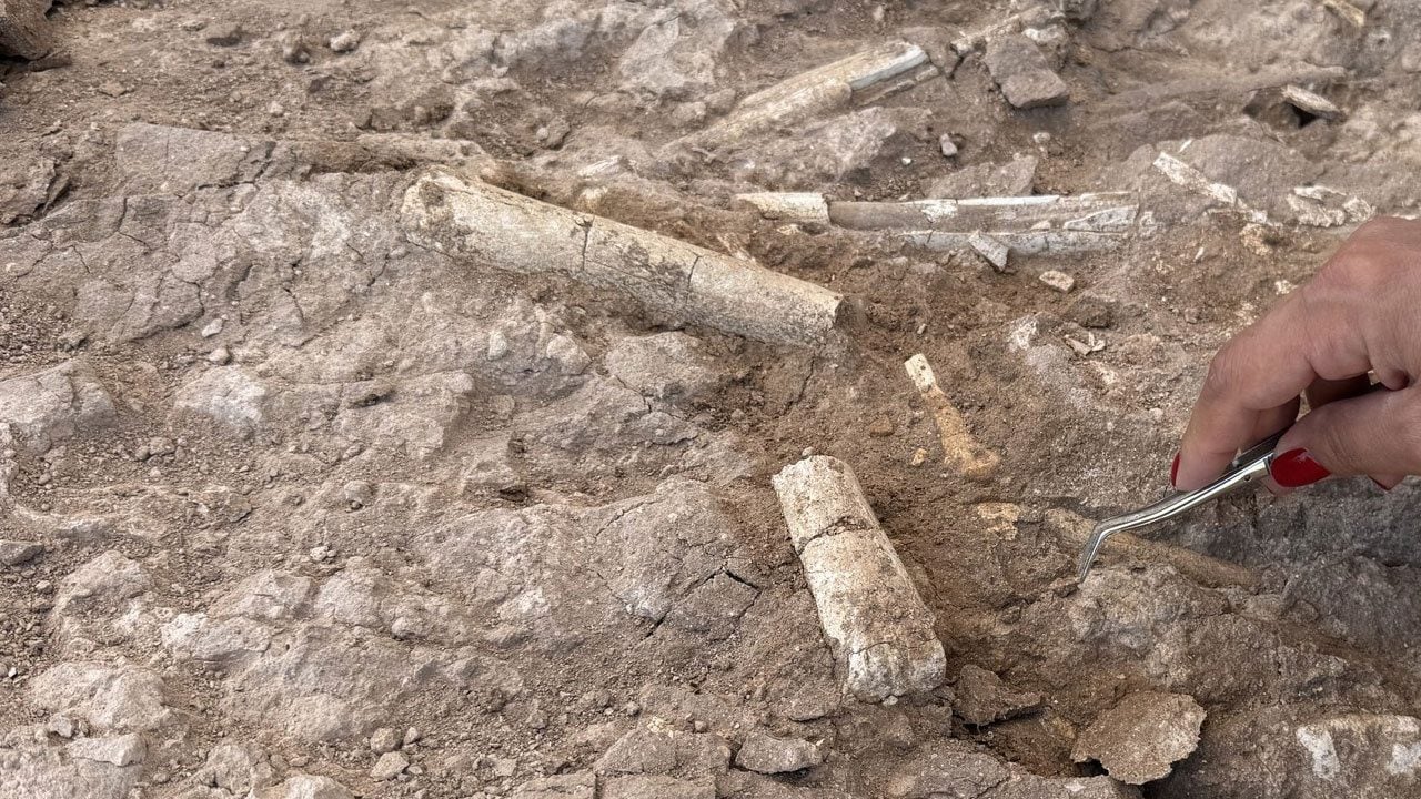 Foto - Ses çıkaran kuş figürü gizemini koruyor! O ülkede toprağın altından 1400 yıllık Türk şehri çıktı