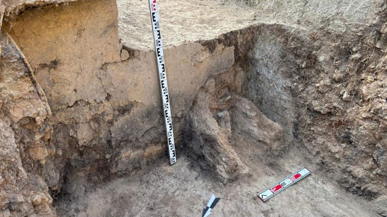 Foto - Ses çıkaran kuş figürü gizemini koruyor! O ülkede toprağın altından 1400 yıllık Türk şehri çıktı