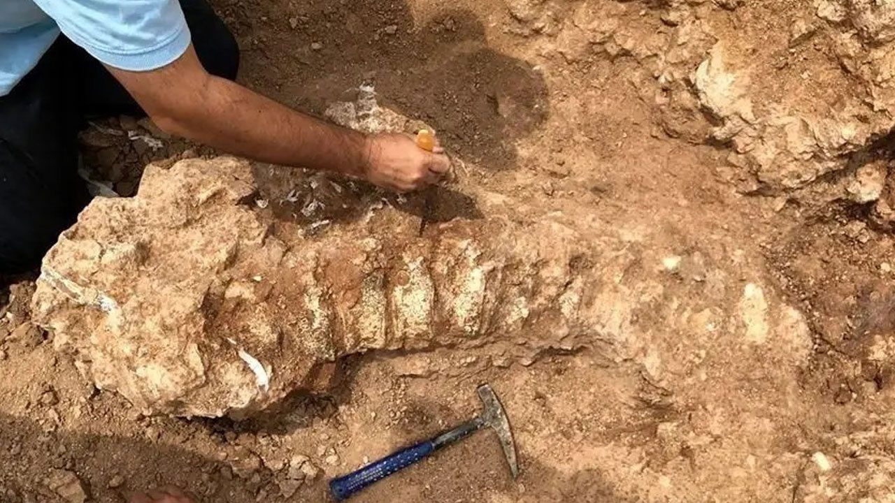 Foto - Ses çıkaran kuş figürü gizemini koruyor! O ülkede toprağın altından 1400 yıllık Türk şehri çıktı