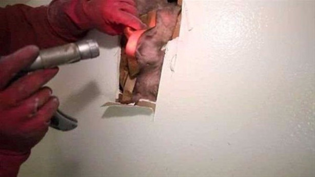 Foto - Ses gelen duvarı açtılar, bakın ne çıktı!