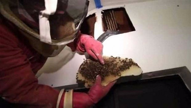 Foto - Ses gelen duvarı açtılar, bakın ne çıktı!