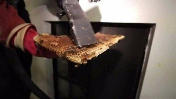 Foto - Ses gelen duvarı açtılar, bakın ne çıktı!