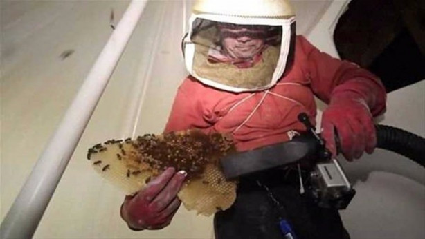 Foto - Ses gelen duvarı açtılar, bakın ne çıktı!