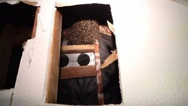 Foto - Ses gelen duvarı açtılar, bakın ne çıktı!