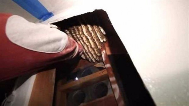 Foto - Ses gelen duvarı açtılar, bakın ne çıktı!