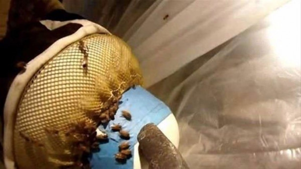 Foto - Ses gelen duvarı açtılar, bakın ne çıktı!