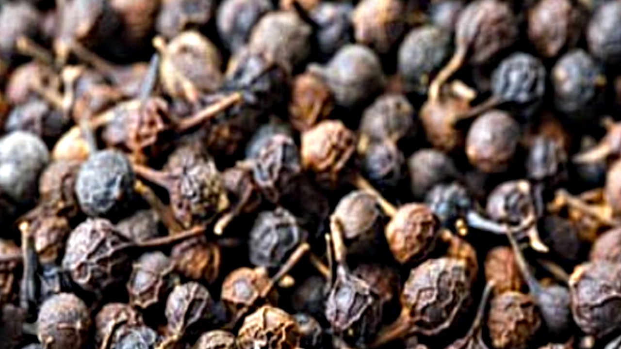 Foto - Ses kısıklığına ve ağız kokusuna çare kebabe otu: Ses probleminizi çözün