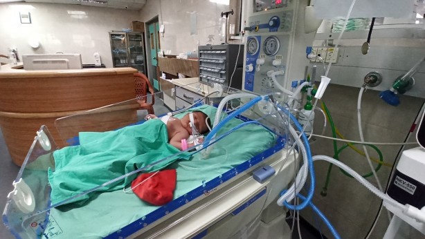 Foto - Seslerini duyan yok mu? Adım adım ölümü bekleyen bebekler