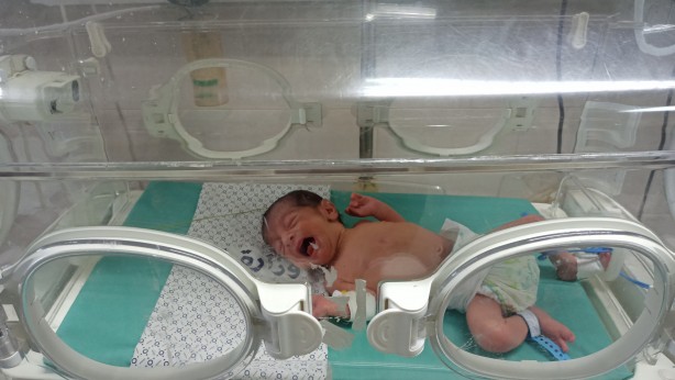 Foto - Seslerini duyan yok mu? Adım adım ölümü bekleyen bebekler