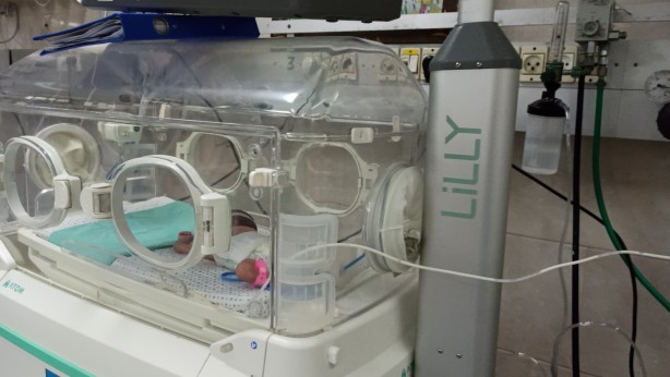 Foto - Seslerini duyan yok mu? Adım adım ölümü bekleyen bebekler