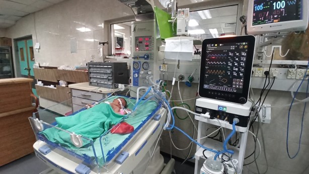 Foto - Seslerini duyan yok mu? Adım adım ölümü bekleyen bebekler