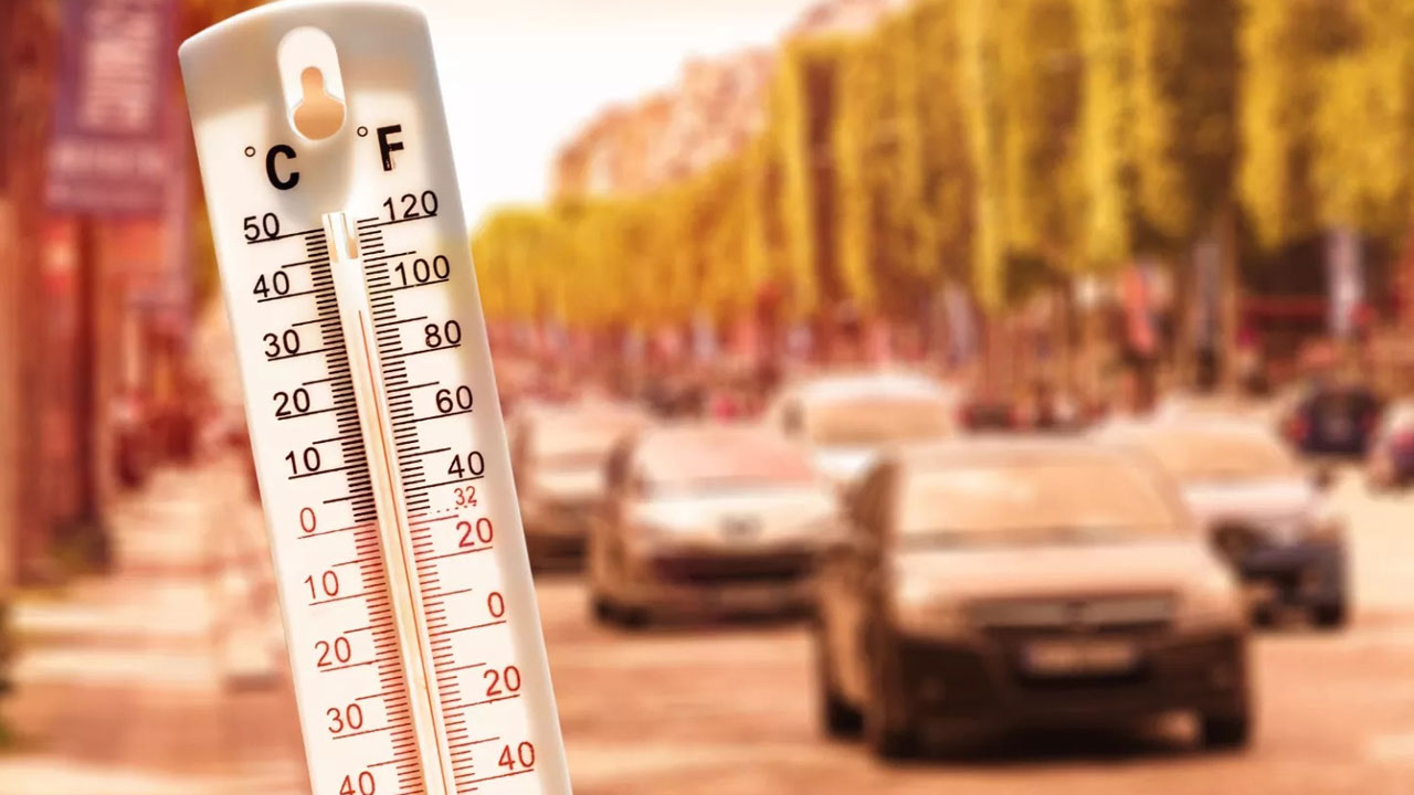 Foto - Sessiz tehlike Avrupa'ya yaklaşıyor! Ölümcül mantar sınır tanımıyor