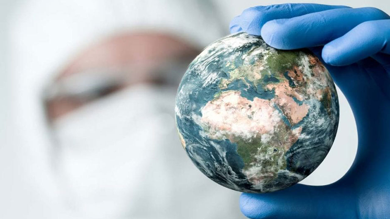 Foto - Sessiz tehlike Avrupa'ya yaklaşıyor! Ölümcül mantar sınır tanımıyor