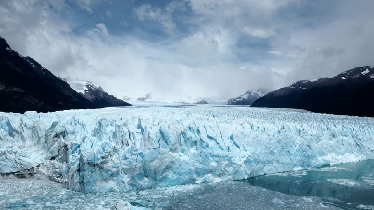 Foto - Sessiz tehlike Avrupa'ya yaklaşıyor! Ölümcül mantar sınır tanımıyor