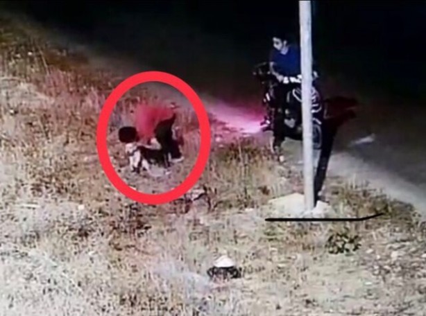 Foto - Severek, öperek ölüme terk ettiler!