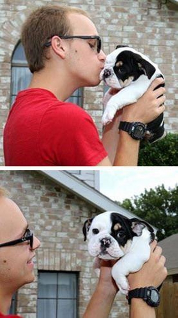 Foto - Sevimli köpeğin yürek burkan hikayesi