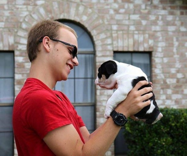 Foto - Sevimli köpeğin yürek burkan hikayesi