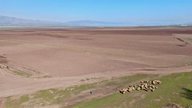 Foto - Sevindiren görüntüler! İşte 1 yıl öncesi ve sonrası