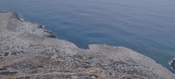 Foto - Şeyh Nazım Kıbrısi'nin İstanbul depremine ilişkin sözleri yeniden gündem oldu: Sadece o ilçeye bir şey olmayacak