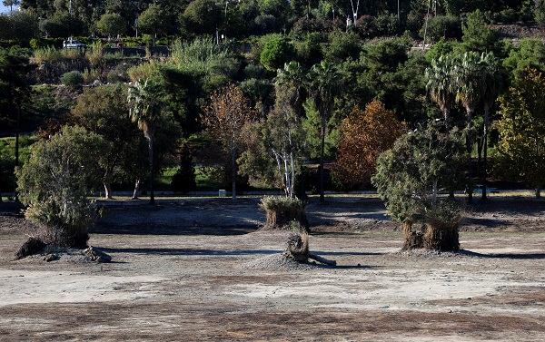 Foto - Seyhan Nehri'nde sular kesildi!