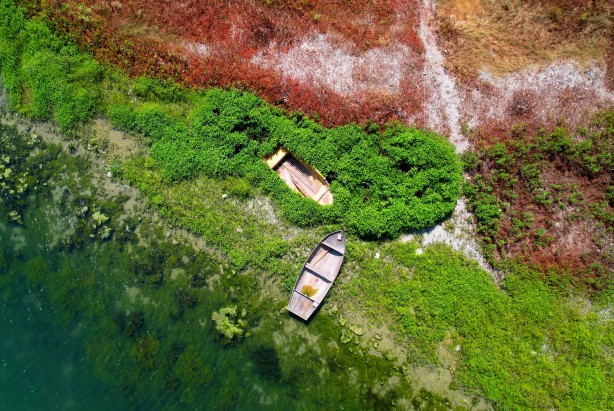 Foto - Seyhan Nehri'ni kaplayan yosunlar insan boyunu geçti, kötü koku kenti kapladı