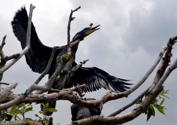 Foto - Seyrine doyulmaz bir güzellik: Çıldır Gölü