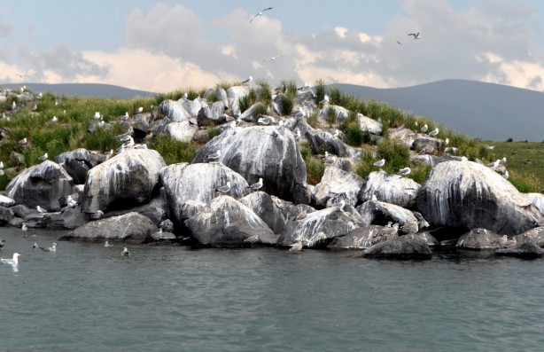 Foto - Seyrine doyulmaz bir güzellik: Çıldır Gölü