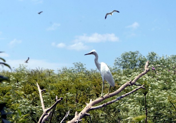 Foto - Seyrine doyulmaz bir güzellik: Çıldır Gölü