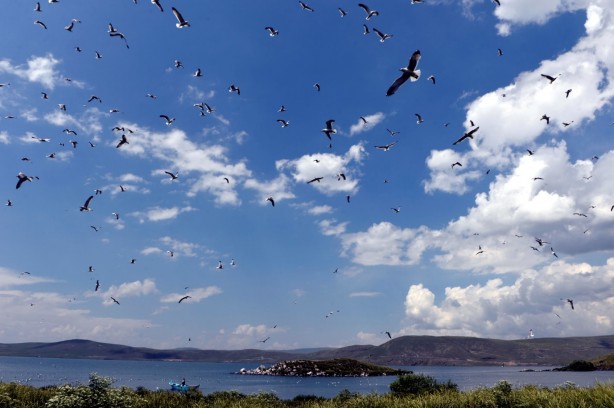 Foto - Seyrine doyulmaz bir güzellik: Çıldır Gölü