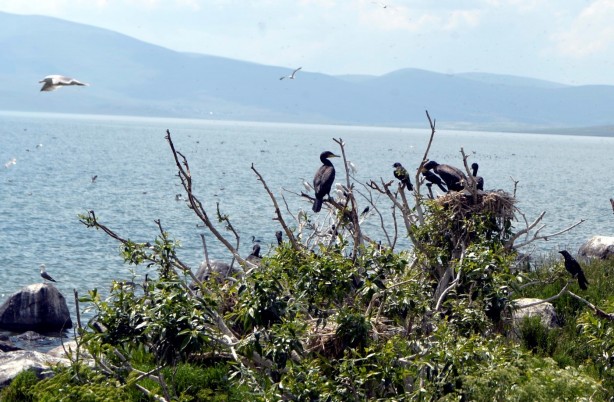 Foto - Seyrine doyulmaz bir güzellik: Çıldır Gölü