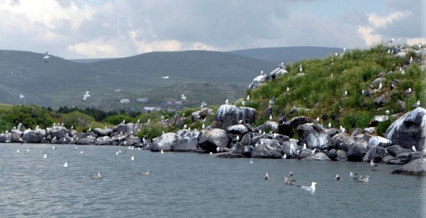 Foto - Seyrine doyulmaz bir güzellik: Çıldır Gölü