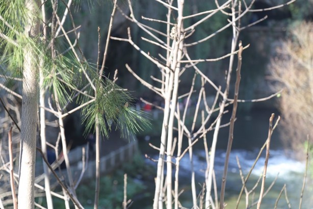 Foto - Seyrine doyum olmuyor: Düden Şelalesi - 7