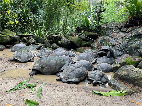 Foto - Seyşeller'de günlük yaşam objektiflere yansıdı