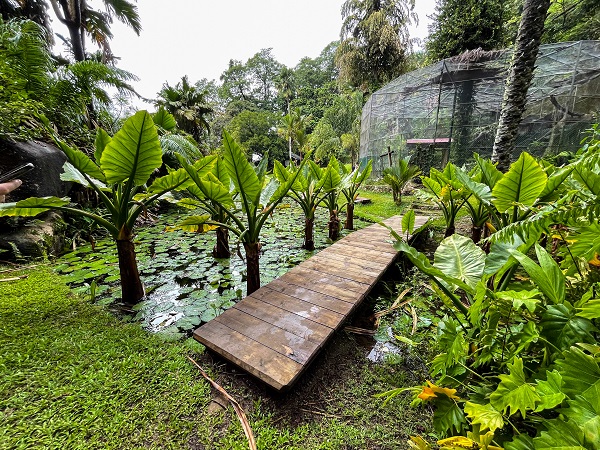 Foto - Seyşeller'de günlük yaşam objektiflere yansıdı