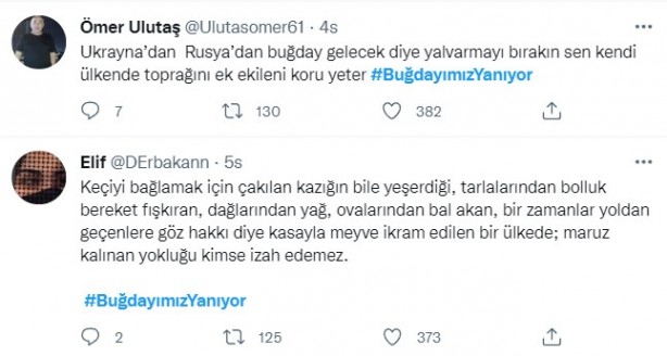 Foto - Şeytani odaklar gıda krizi için devrede: Buğday tarlaları bir bir yanıyor!