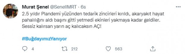 Foto - Şeytani odaklar gıda krizi için devrede: Buğday tarlaları bir bir yanıyor!