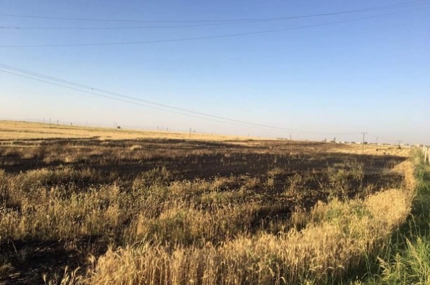Foto - Şeytani odaklar gıda krizi için devrede: Buğday tarlaları bir bir yanıyor!
